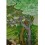 32.75" x 23" The 8th Gyalwa Karmapa Thangka Painting