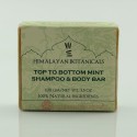 Top To Bottom Mint Shampoo and Body Bar