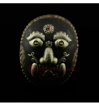 9.25” Tortoise Mask