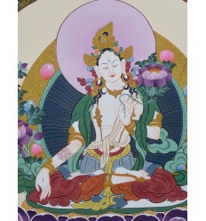 21.5" x 16.5" White Tara Tibetan Buddhist Scroll Thangka Painting