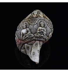 Hand carved  Five Dhyani Buddha Carved Conch Shell Horn / Shankha