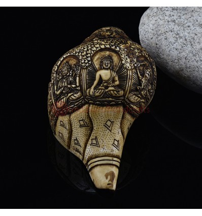 Beautiful Hand Carved Shakyamuni Buddha Carved Conch Shell Horn