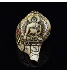 Tibetan Conch Shell with Shakyamuni Buddha Hand Carved