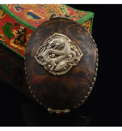 Hand Carved Tibetan Buddhism Traditional 7" Dragon Carved Resin Kapala