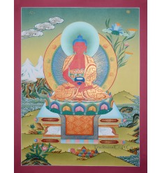 Fine Quality 26.75" x 20.75" Aparmita Tibetan Buddhist Karmakoti Thangka/Thanka Painting from Patan, Nepal