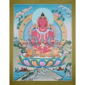 26.75" x 20.75" Aparmita Thangka Painting