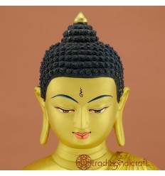 Fine Quality 13.75" Shakyamuni Buddha Statue