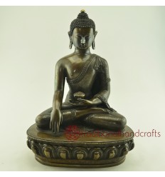 Fine Quality 14" Shakyamuni Buddha Statue