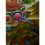 29.75"x22" Amitabha Buddha Thangka  Painting