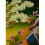 30.75"x22.5" Manjushiri Thankga Painting